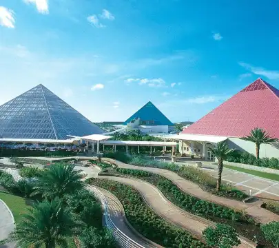 Hotels near Moody Gardens Attractions Theme Park