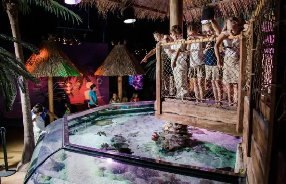 Sea Life Kansas City Aquarium門票成人