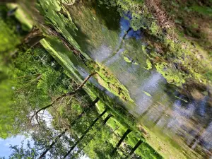 Wildpark Ernstbrunn