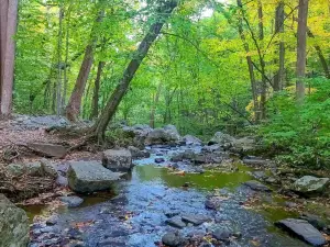 Hacklebarney State Park