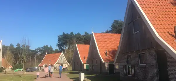 Hotels in Haarle