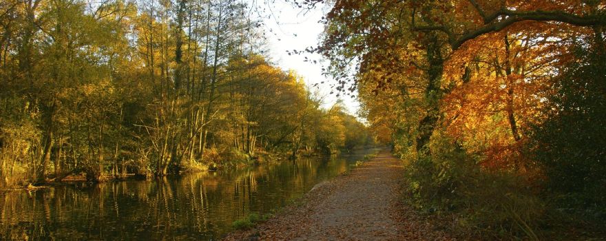 Frimley Lodge Park