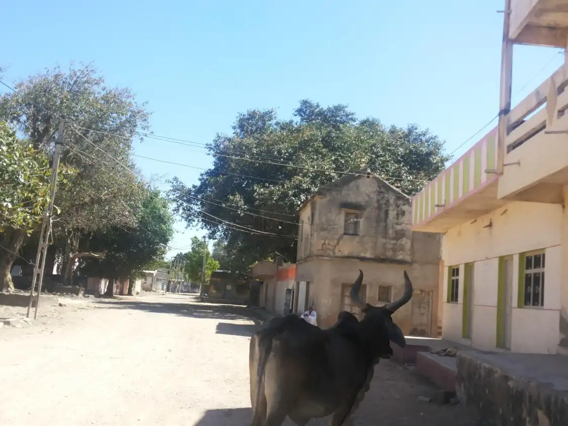 Hotels near Bileshwar Shiva Temple