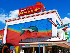 Ripley's Believe It or Not!