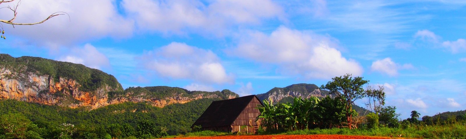 Vinales데이 투어