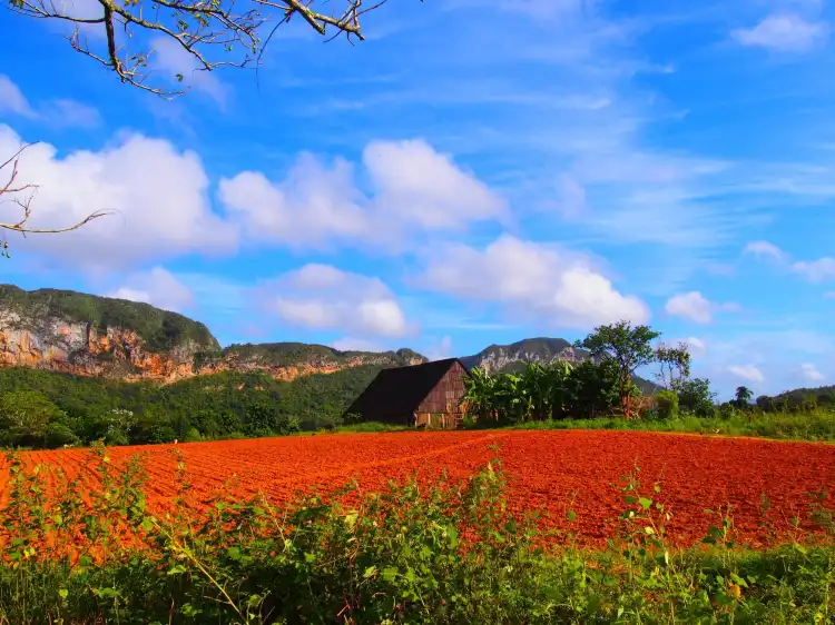 Hotels near Valle de Vinales