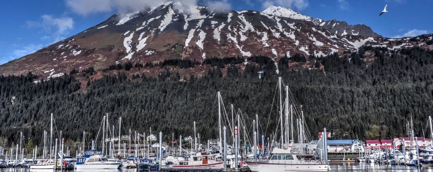 Alaska Saltwater Tours