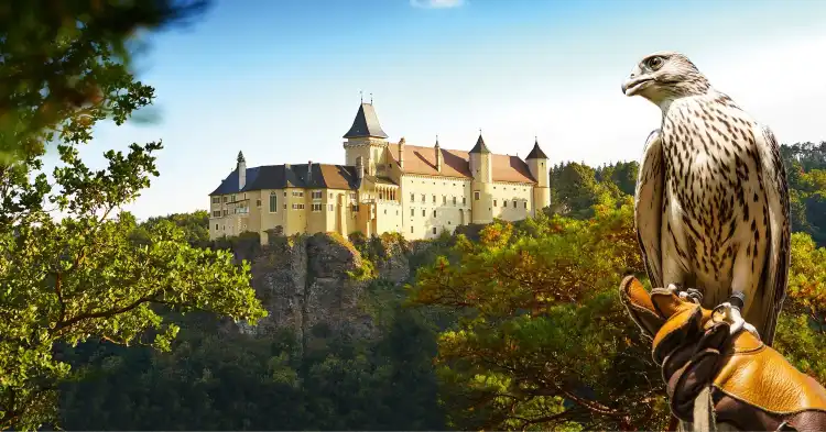 Hotels in Rosenburg-Mold