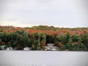 Popular Fall Viewing Attractions in Muskoka Lakes