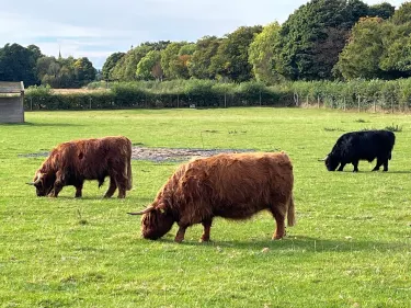 The Scottish Deer Centre