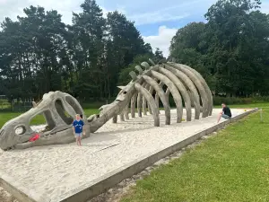 The Scottish Deer Centre