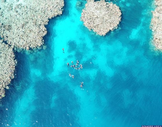 湯斯維爾 自由行套票