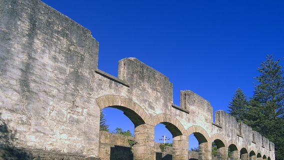 The Arches