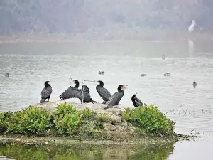 Lakh Bahosi Sanctuary
