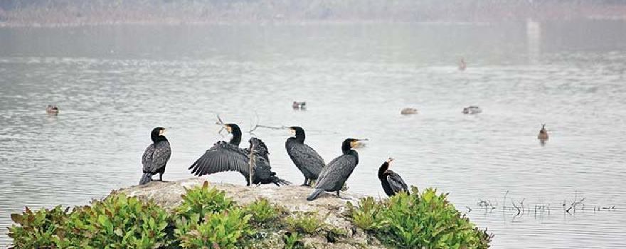 Lakh Bahosi Sanctuary