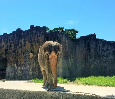 4_九十九島動植物園