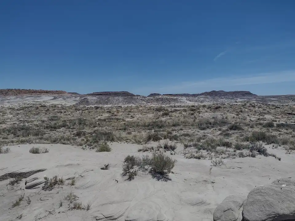 4_Giant Logs Loop