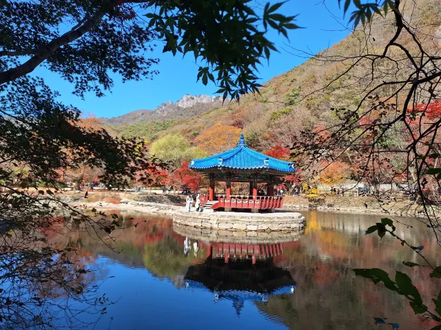 內藏山湖畔涼亭與紅黃楓葉倒影