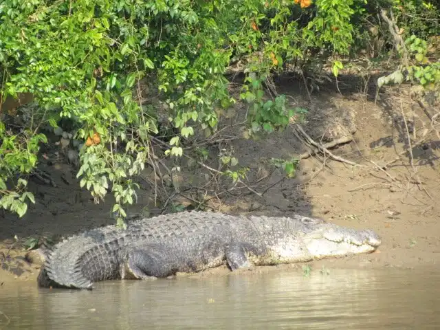 Kendrapara