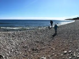 Naturum Trollskogen