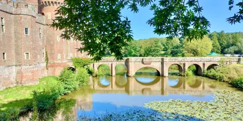East Sussex Falconry