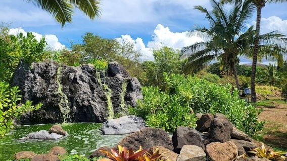 Tsue's Farm Haleiwa