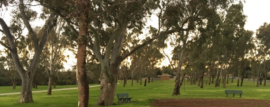 Gunns Road Reserve