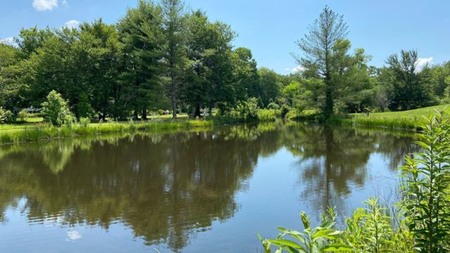 The Park at Flat Rock