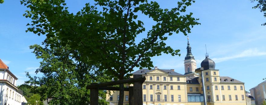 Unteres Schloss Greiz
