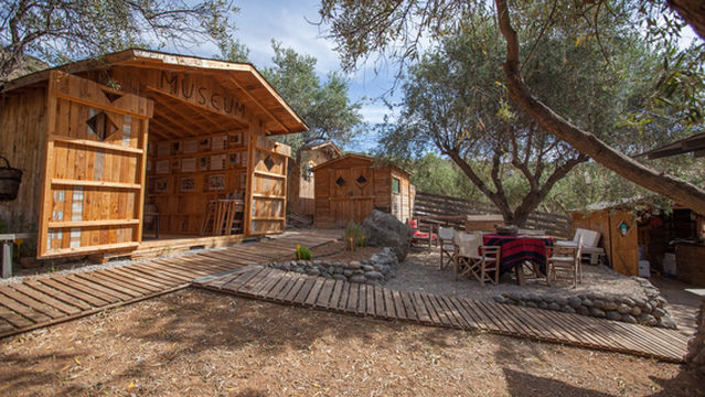 MoKa honey Stories tour