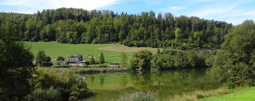 Etang de Lucelle