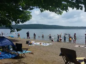 Swan Lake State Park