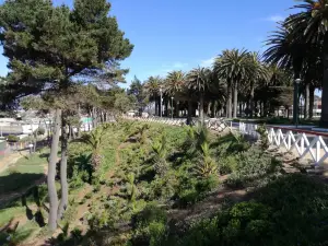 Parque Ross