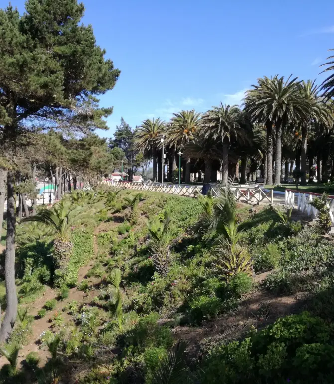 Pichilemu