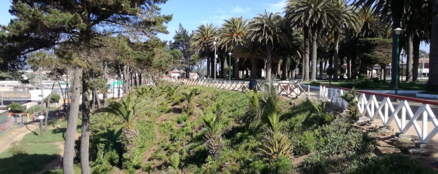Parque Ross