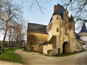 Chateau de Javarzay