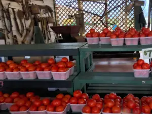 이섬스 오차드