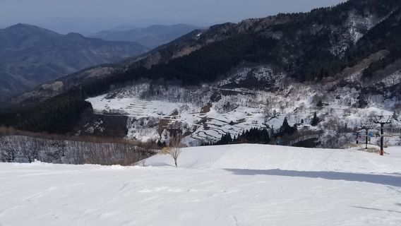 Hyper Bowl Higashihachi