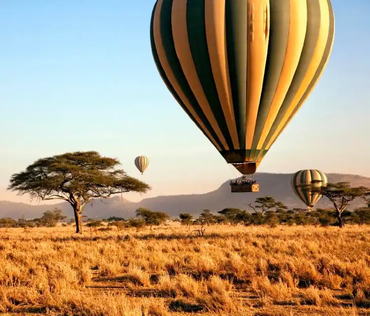 Hotels near NDOTO SAFARI LTD