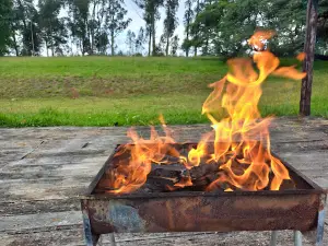 Wild Acres Fishing Camp