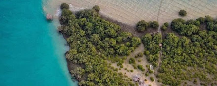 تالاب خور خوران Khour Khouran lagoon