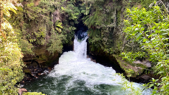 Okere Falls