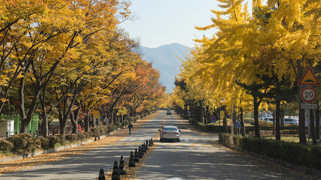 Misari Speedboat Park