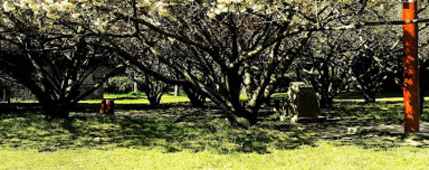 Jardín japonés de Necochea