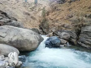 Domail