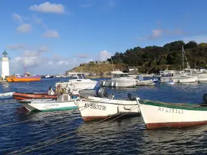 Camping de l'Océan
