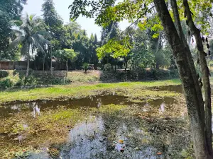 Bijni Ban Udyan