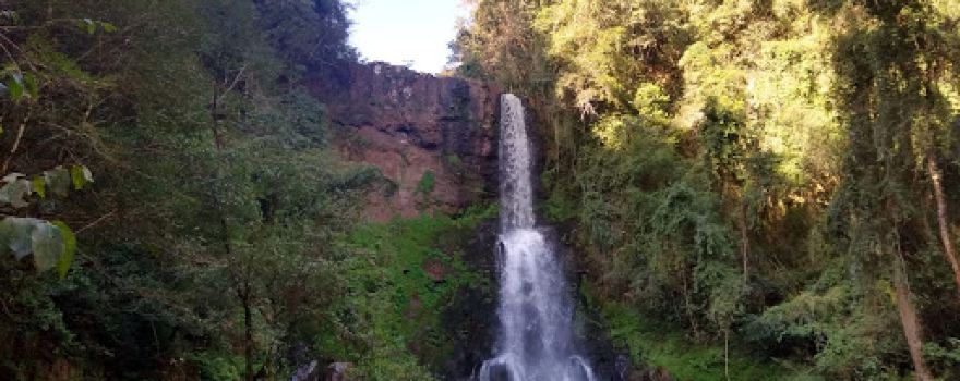 Cachoeira palma sola