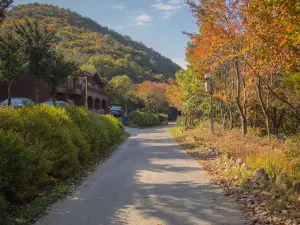 Yonghyun Nature Recreation Forest