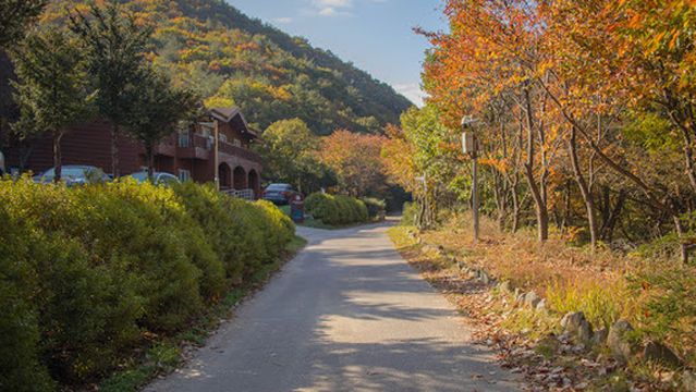Yonghyun Nature Recreation Forest